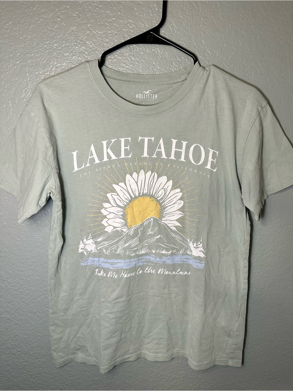 Hollister Lake Tahoe sage t shirt